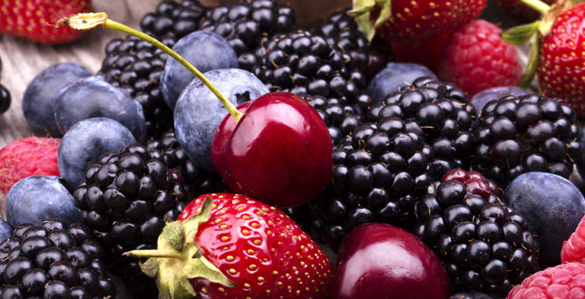 2875 gezonde bessen & fruit