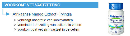 vetverbranding buikvet