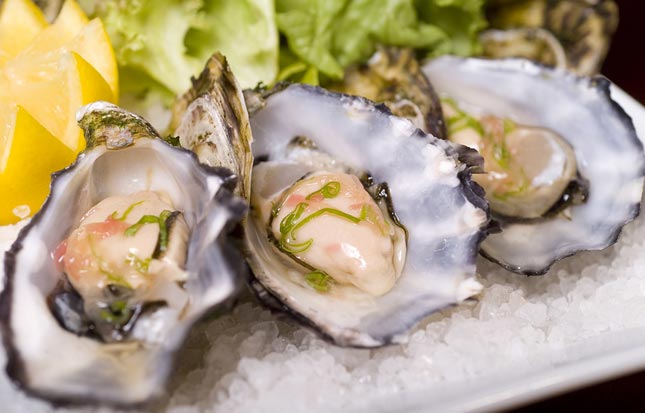oesters oesters